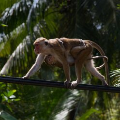 Mom and child Mon and child